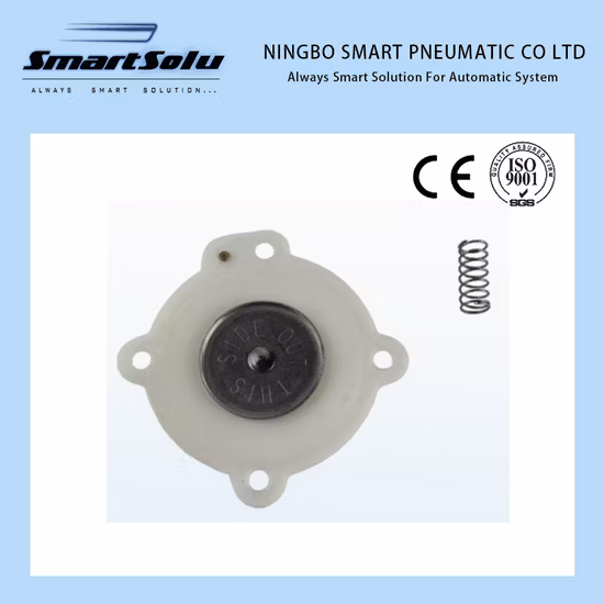 Kit guarnizioni solenoide valvola a bobina Vtec 15825